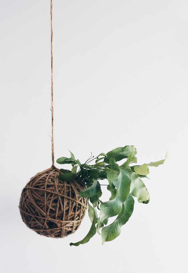 How to make kokedama plant sculptures | These Four Walls