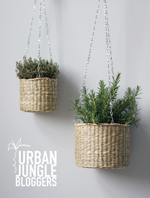 Urban Jungle Bloggers | Hanging Planters | These Four Walls