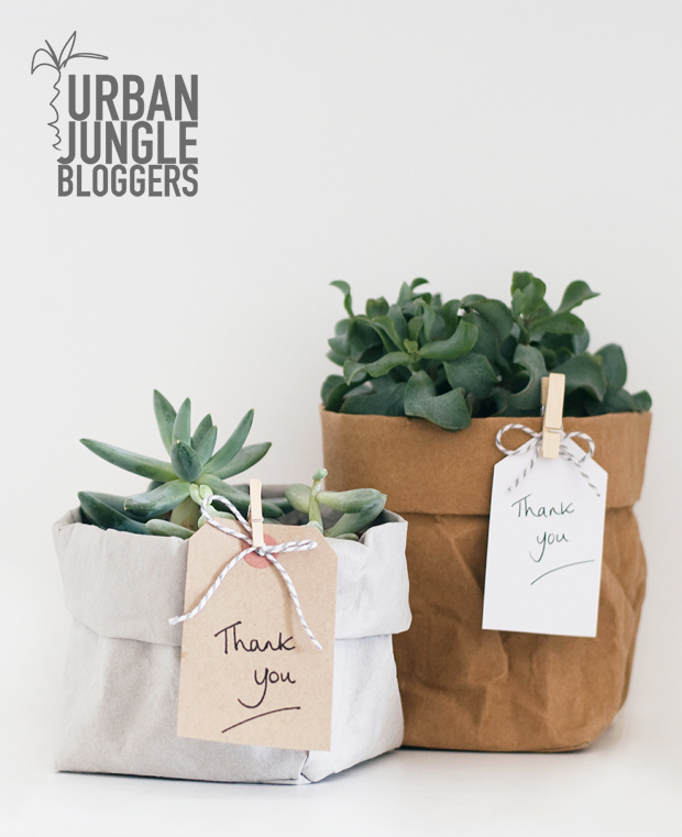 Urban Jungle Bloggers | A green gift | These Four Walls blog