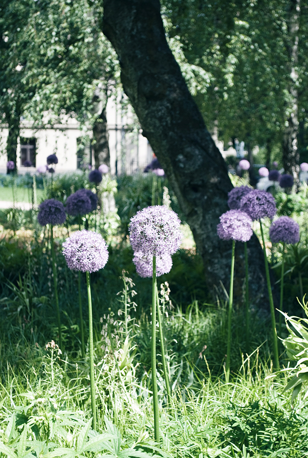 A midsummer stay in Oslo | These Four Walls blog