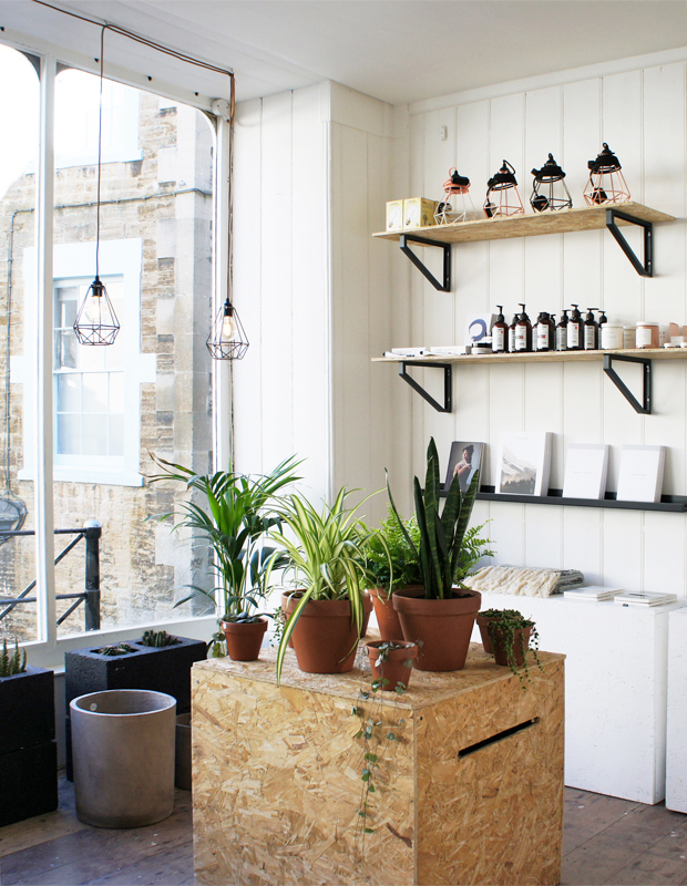 Resident's new Somerset shop | These Four Walls blog