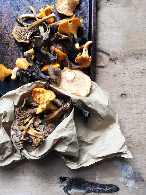 Recipe | Creamy wild mushrooms on toast | These Four Walls blo
