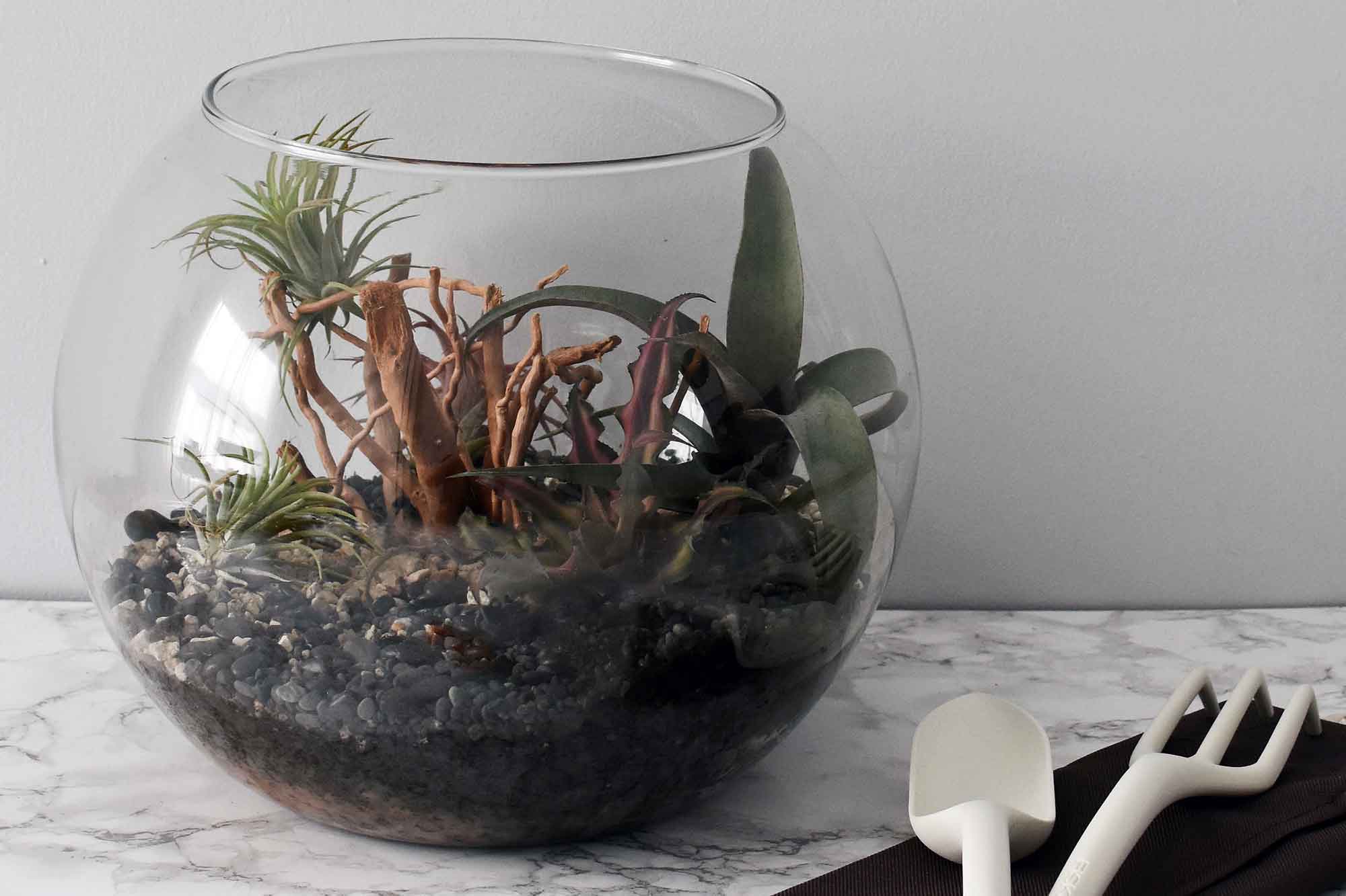 How to create a terrarium with Fiskars | These Four Walls blog