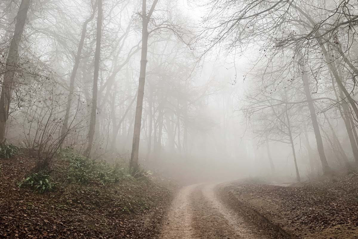A foggy winter walk at Woodchester Park, Gloucestershire, South West England | These Four Walls blog