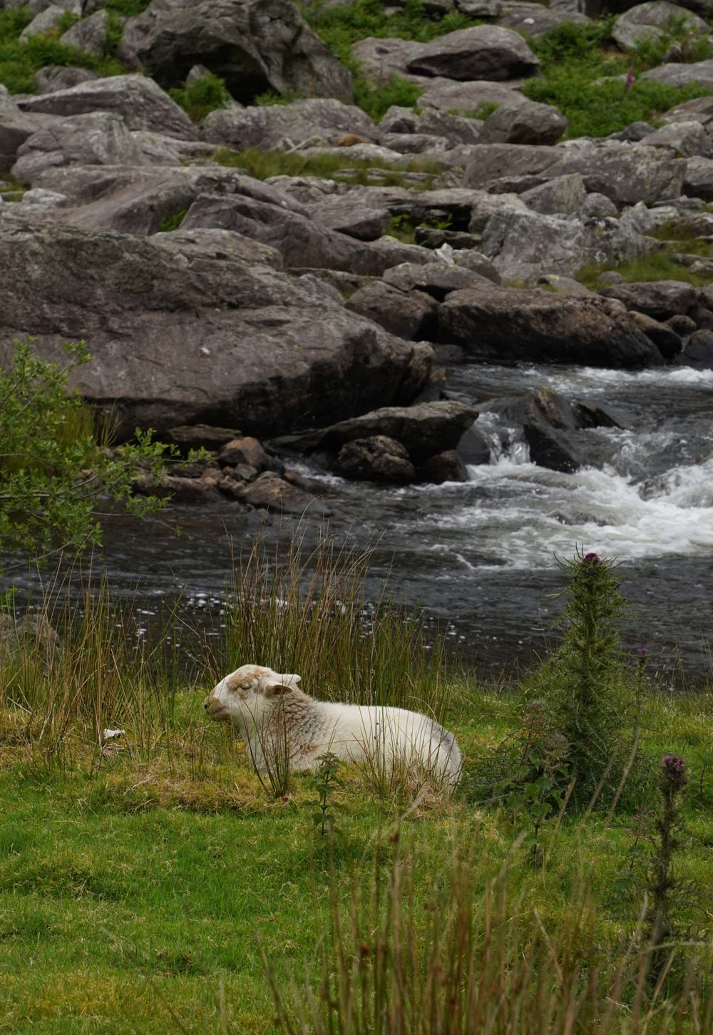 The circular walk around Cwm Idwal in the Eryri National Park | Exploring North Wales & Snowdonia | These Four Walls blog