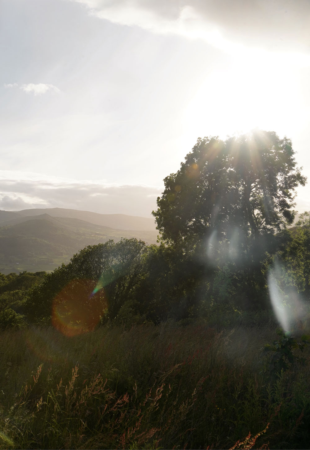 Hinterland Cabin on the edge of Eryri National Park | Exploring North Wales & Snowdonia | These Four Walls blog