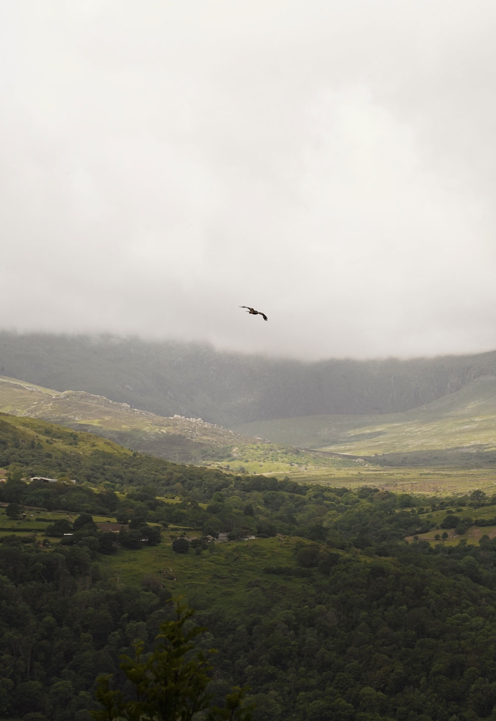 Hinterland Cabin on the edge of Eryri National Park | Exploring North Wales & Snowdonia | These Four Walls blog