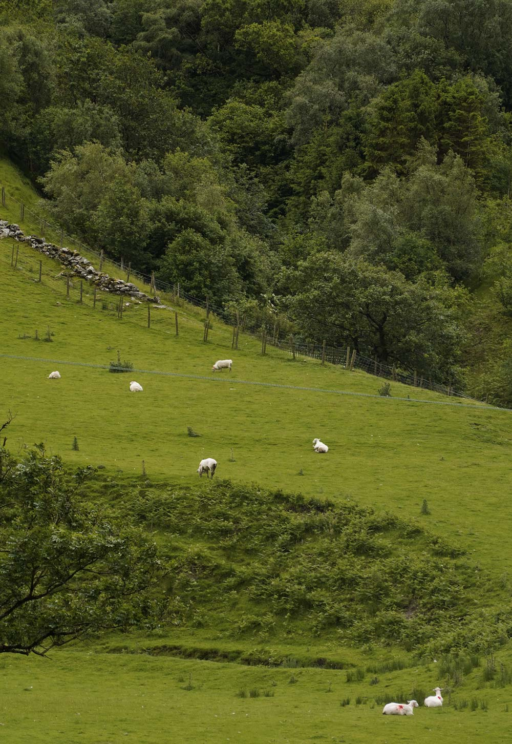 Driving along the Llanberis Pass and Pen Y Pass in Eryri National Park | Exploring North Wales & Snowdonia | These Four Walls blog